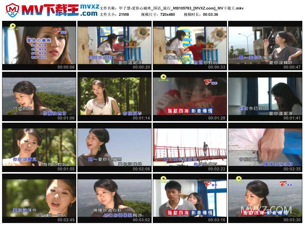 甲子慧-爱你心痛疼_国语_流行_MB105783